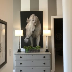 Model Home Sale - Sonoma Verde - Entry